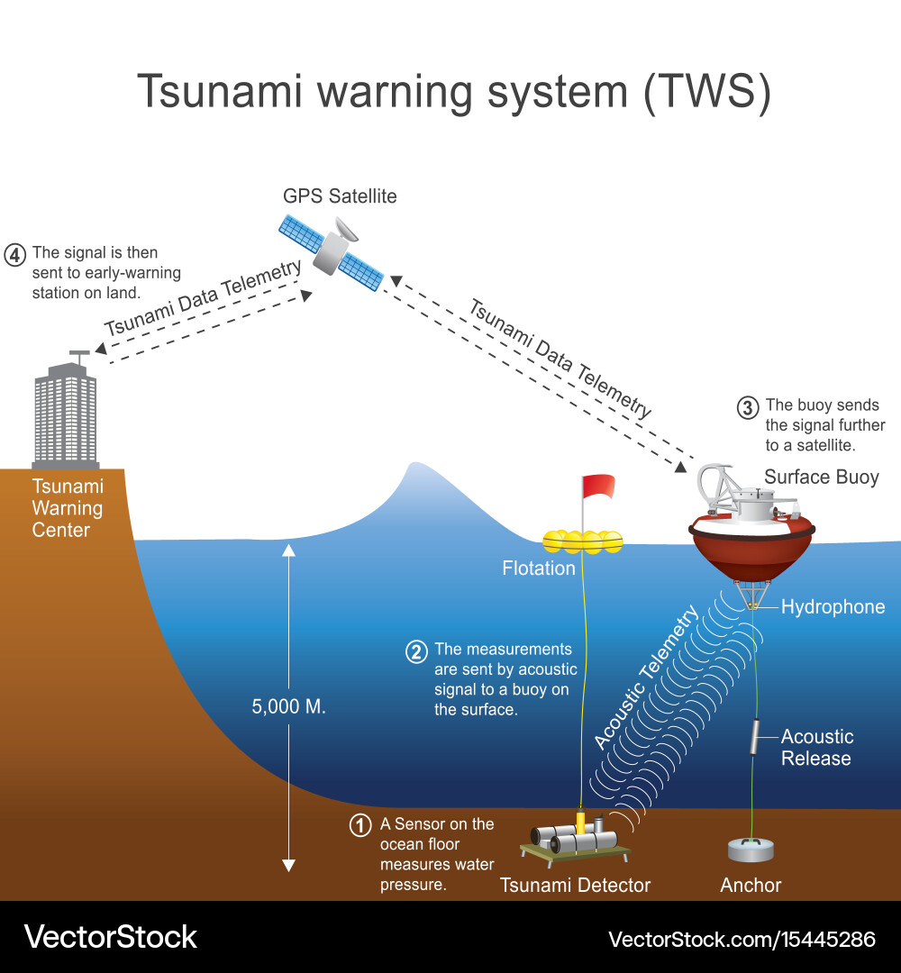 Tsunami Warning System Components vector image