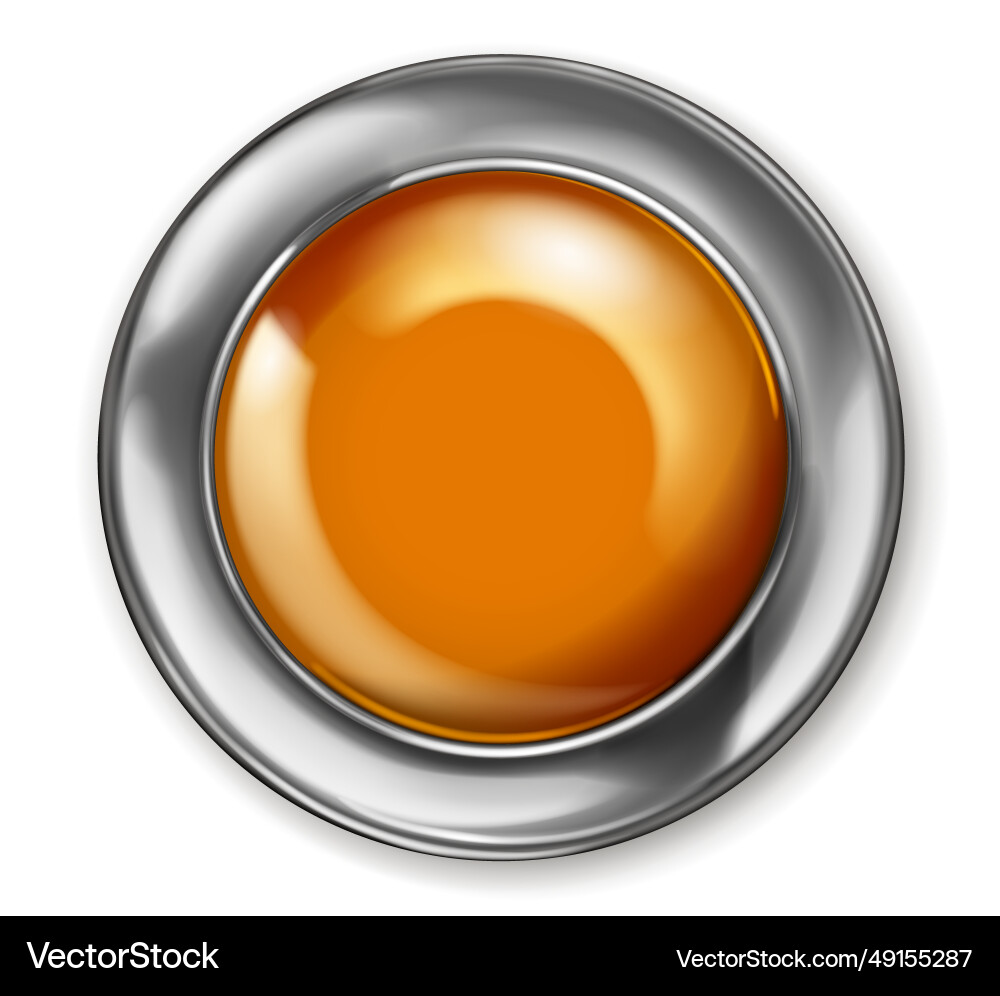 Big button with metallic border Big button with metallic border vector image