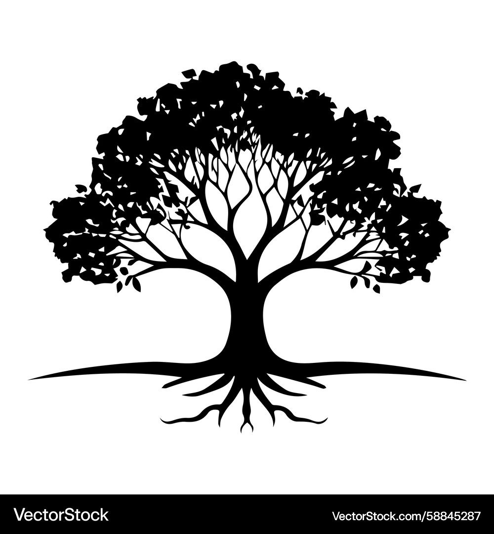 Silhouette of a large deciduous tree with visible Vector Image