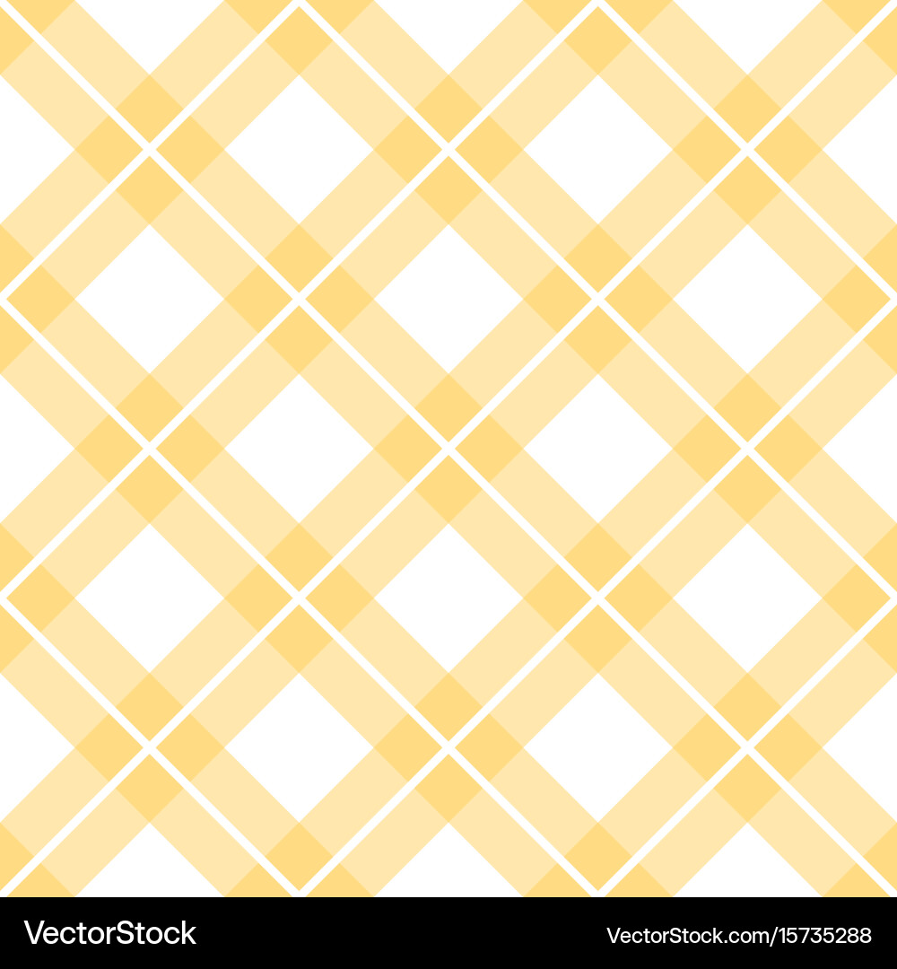 Check print and lines seamless pattern Vector Image