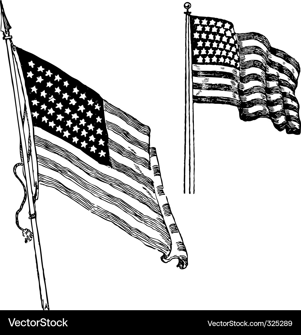 American Flag Sketch Vector Image