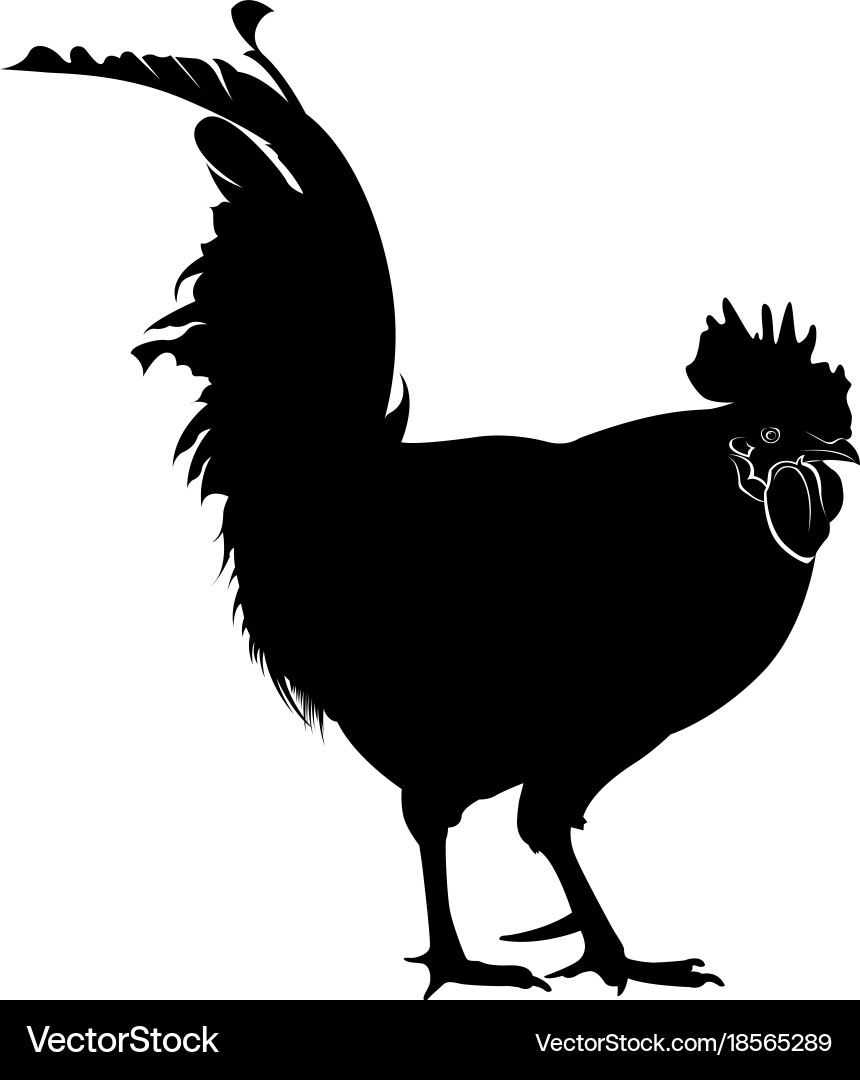 Cock Silhouette Vector Image
