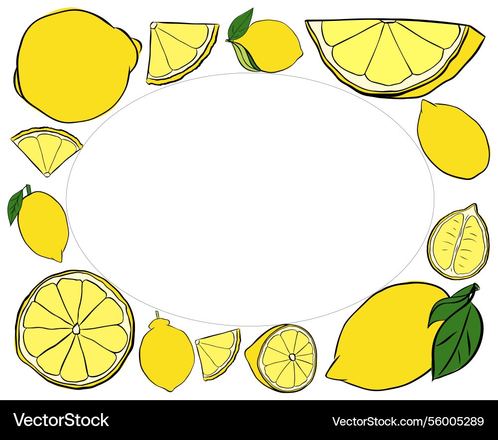 Yellow lemon whole and slices rectangle frame Vector Image