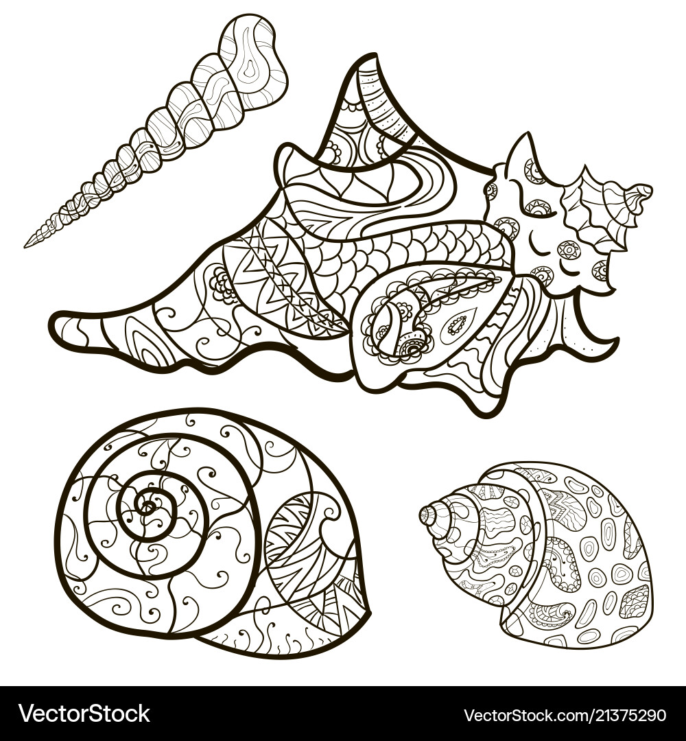 Seashells shell pattern set coloring book Vector Image