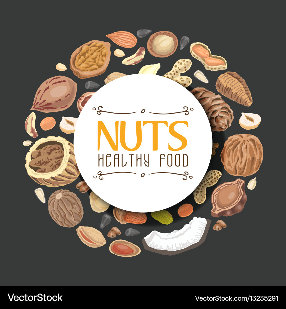 Background with nuts arranged in a circle vector image