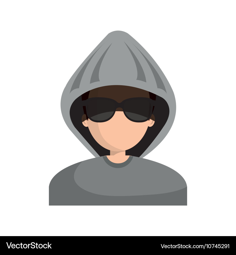 Character hacker informatic design vector image