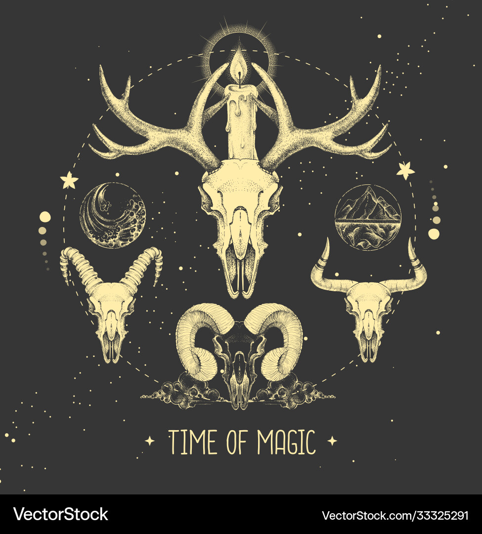 Taros card with animal skull and four elements Taros card with animal skull and four elements vector image
