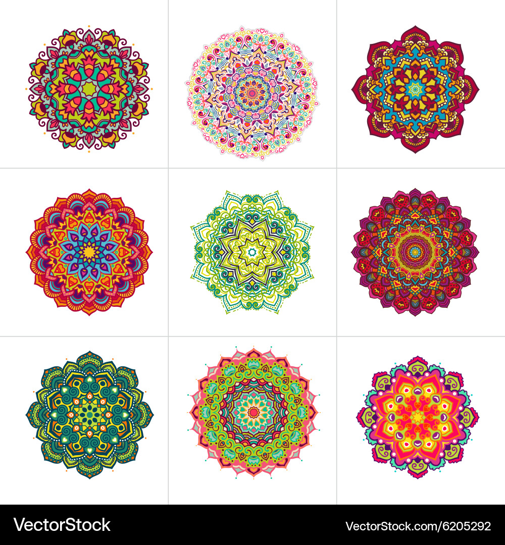 Floral Mandala Ornament Set Vector Image