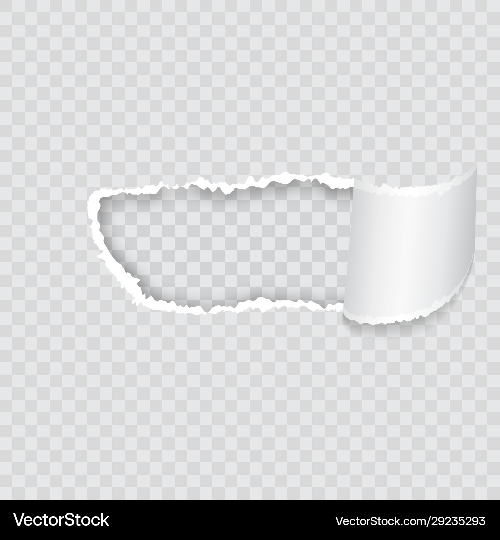 Empty realistic torn paper scroll and hole Empty realistic torn paper scroll and hole vector image