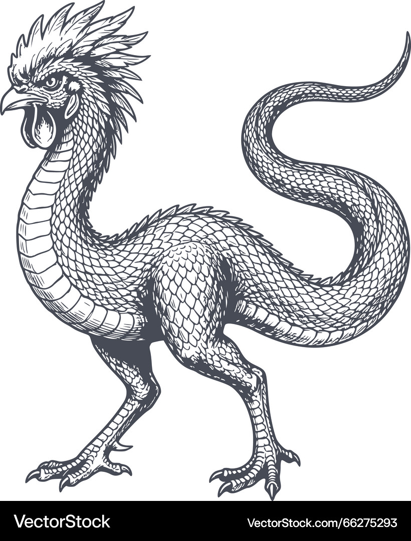 Mythological Examples Mythical Rooster Dragon – Royalty-Free Vector | VectorStock