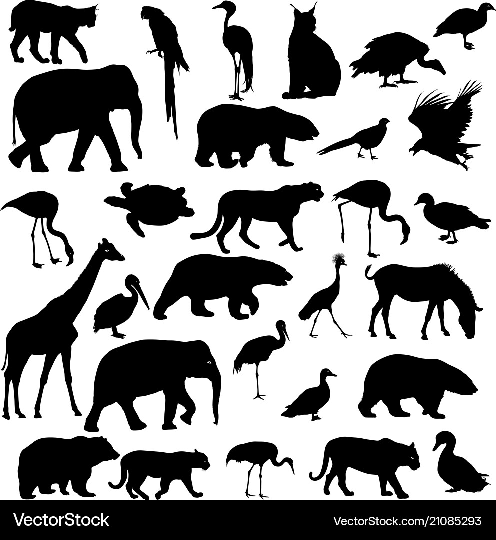 Silhouettes of Animals Vector Image