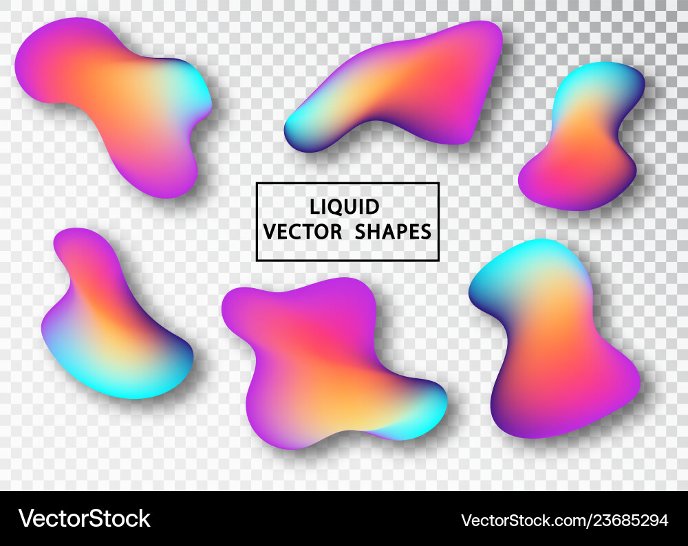 Fluid Shape Abstract Layout vector image