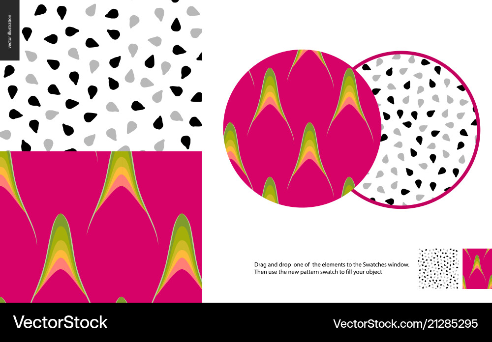 Dragonfruit Rind Pattern Vector Image