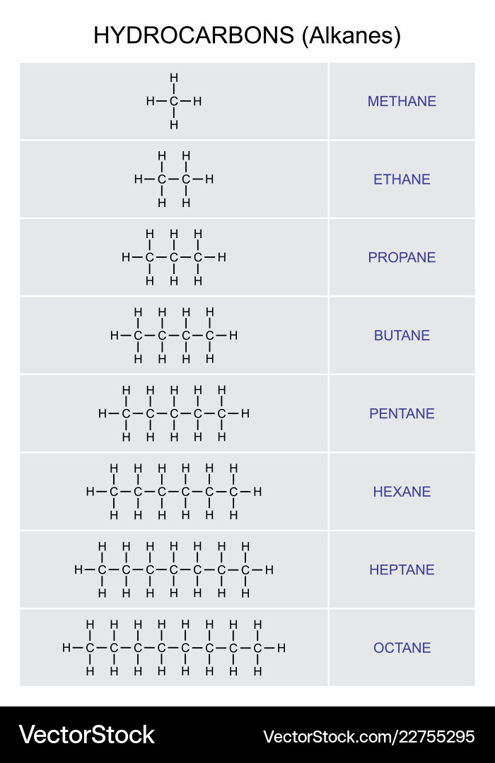 Hydrocarbons alkanes formulas vector image