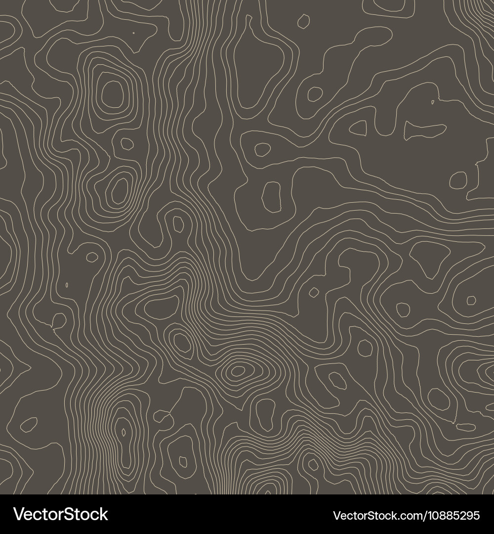 Topographic map background concept with space Vector Image