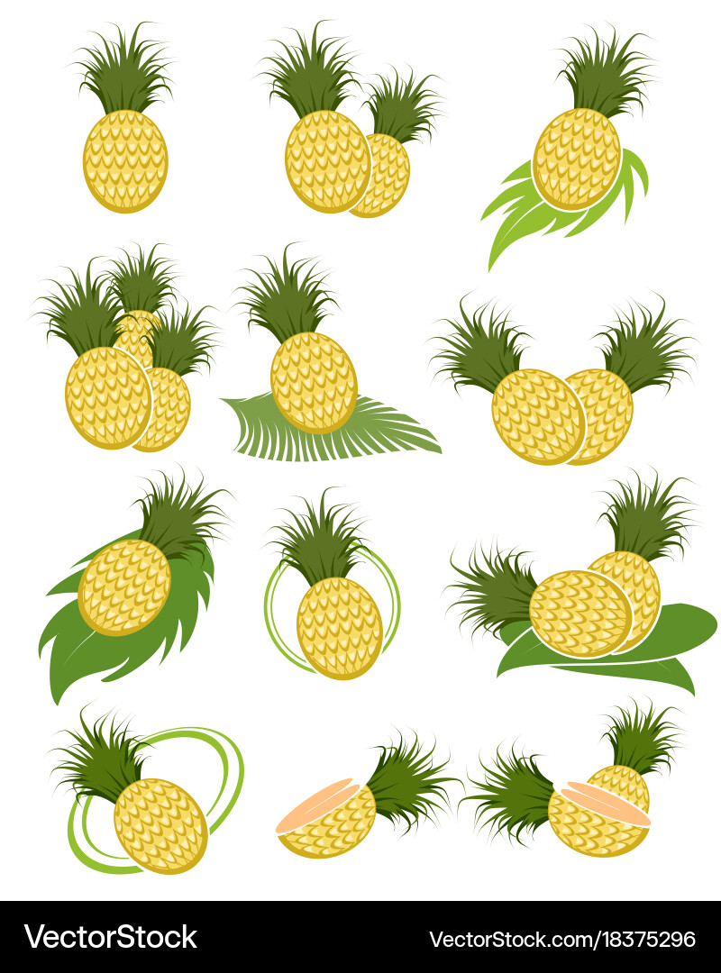 Different variants of pineapples vector image