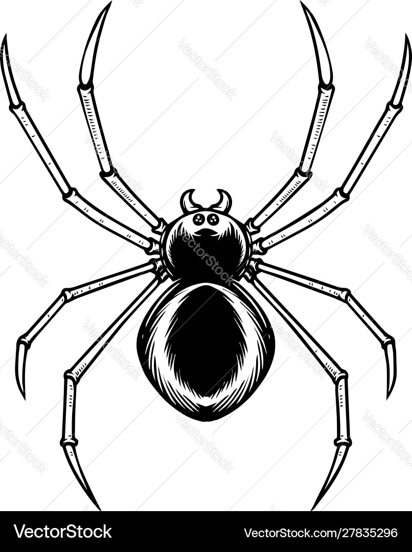 Spider in Gravur Stil halloween Thema Design Spider in Gravur Stil halloween Thema Design vektorbild