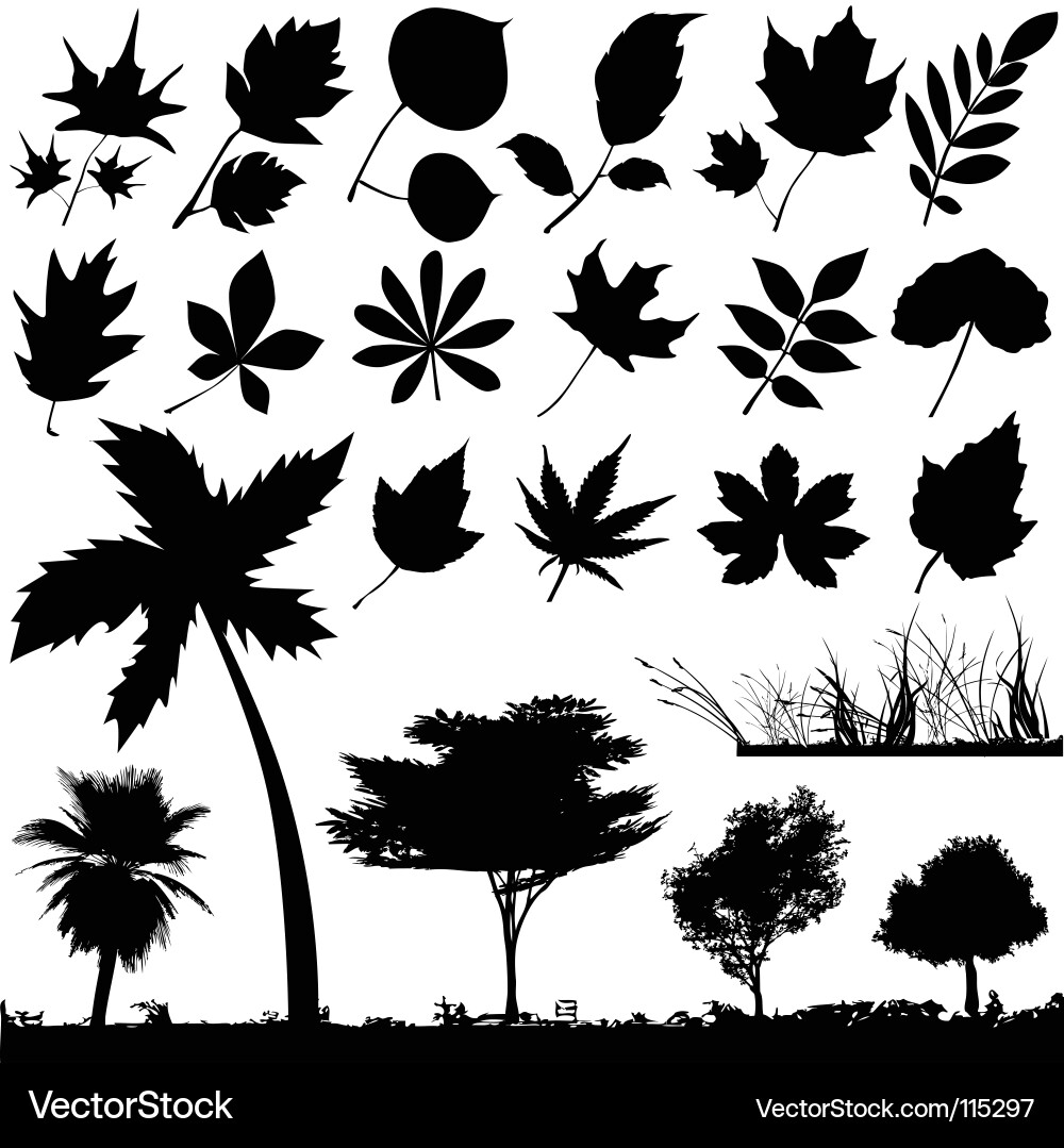 Black Tree and Leaf Silhouettes vector image