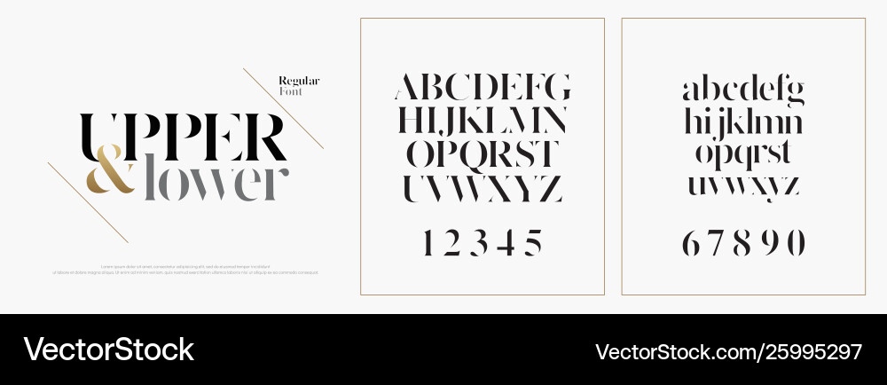 Elegant Alphabet Font Set - Classic Style vector image