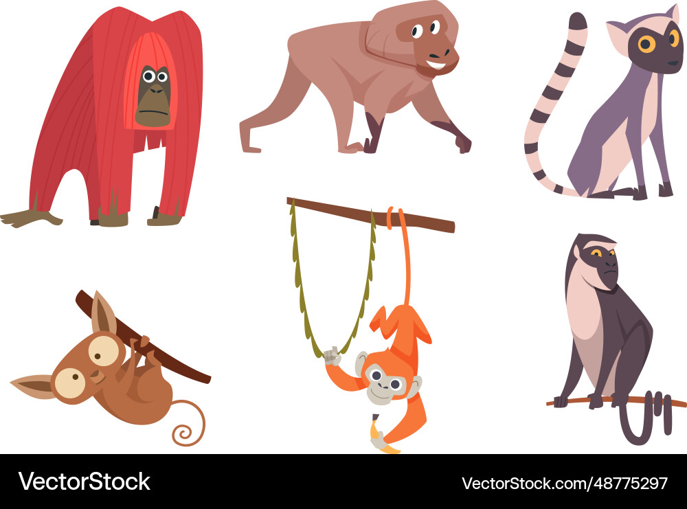 Monkey cartoon wild animals in action poses exact Monkey cartoon wild animals in action poses exact vector image