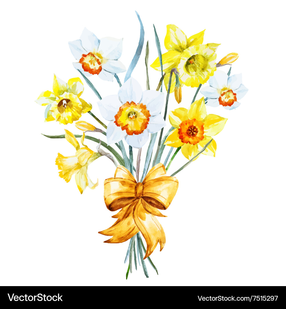 Watercolor Spring Floral Bouquet Vector Image