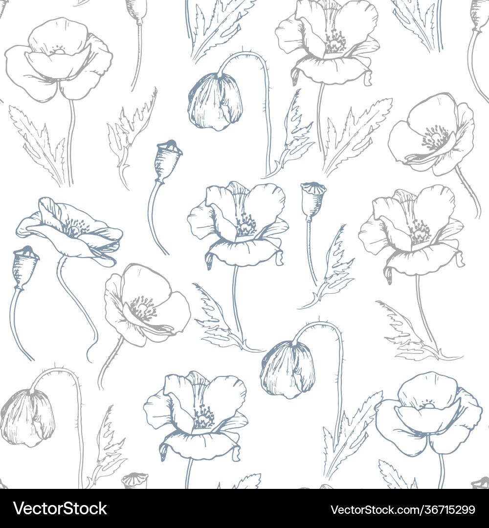 Botanic seamless pattern with poppies Vector Image