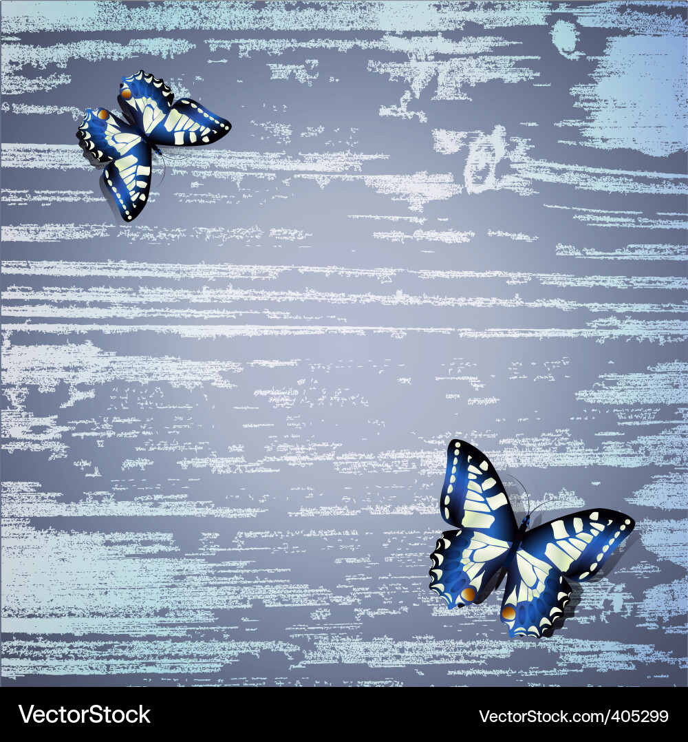 Rustic Wooden Texture Background vector image