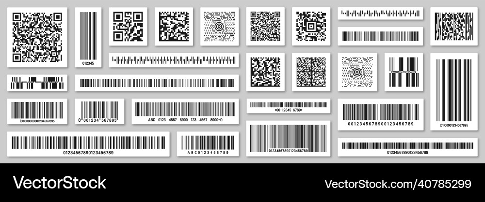 Set of product barcodes and qr codes Set of product barcodes and qr codes Vector Image