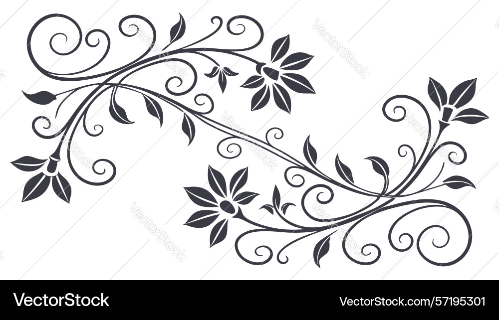 Elegant floral scroll design element vector image