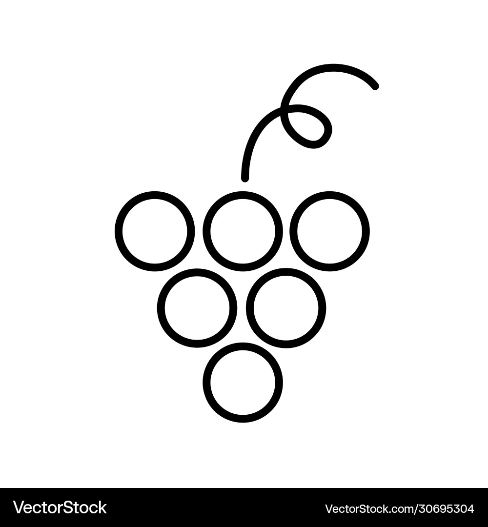 Flat line grape icon Flat line grape icon vector image