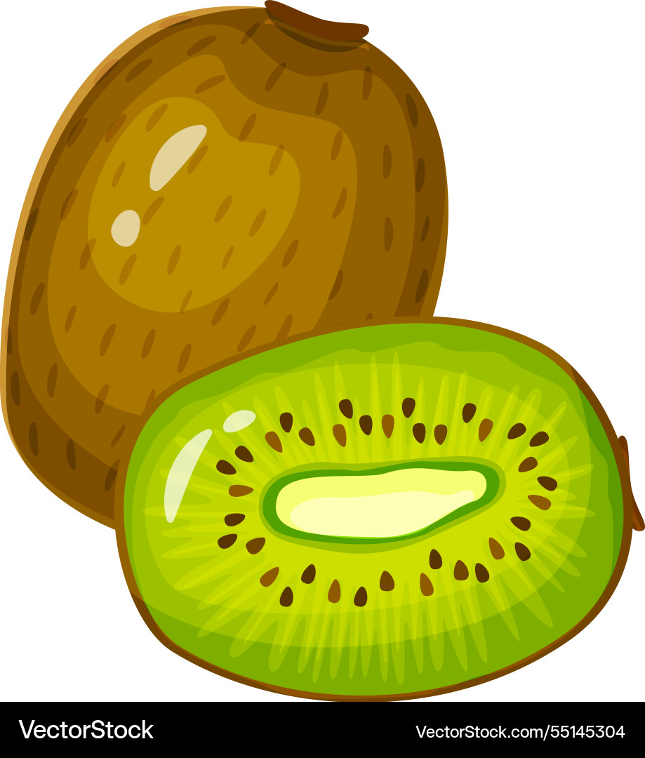 Ganze Kiwi Frucht neben einer Hälfte Ganze Kiwi Frucht neben einer Hälfte vektorbild
