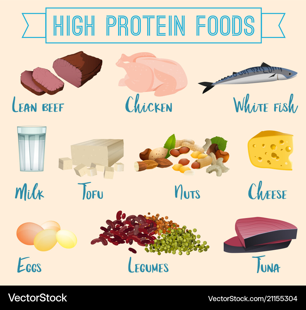 High protein foods set Royalty Free Vector Image