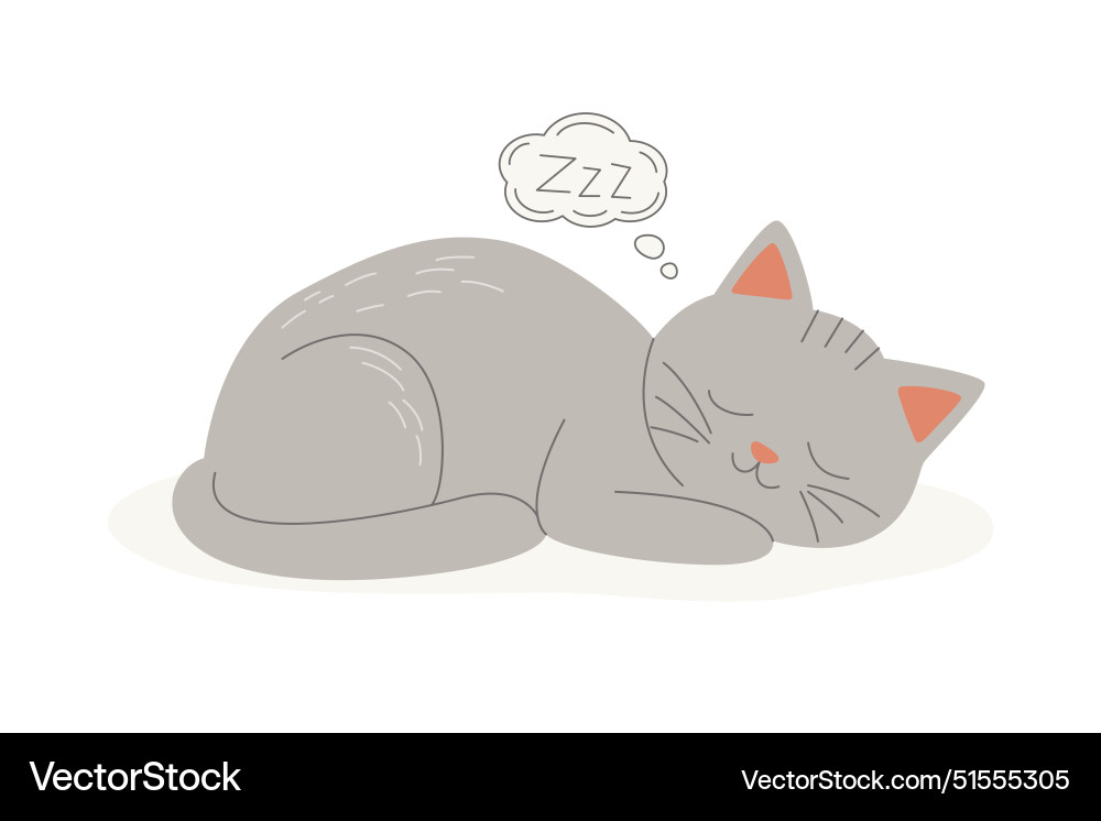 Flat grey sleeping cat cartoon Flat grey sleeping cat cartoon vector image