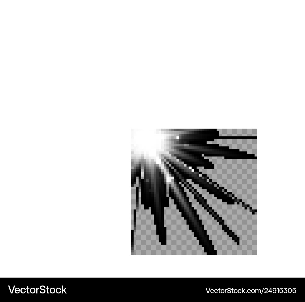 Sunlight on a transparent background Vector Image