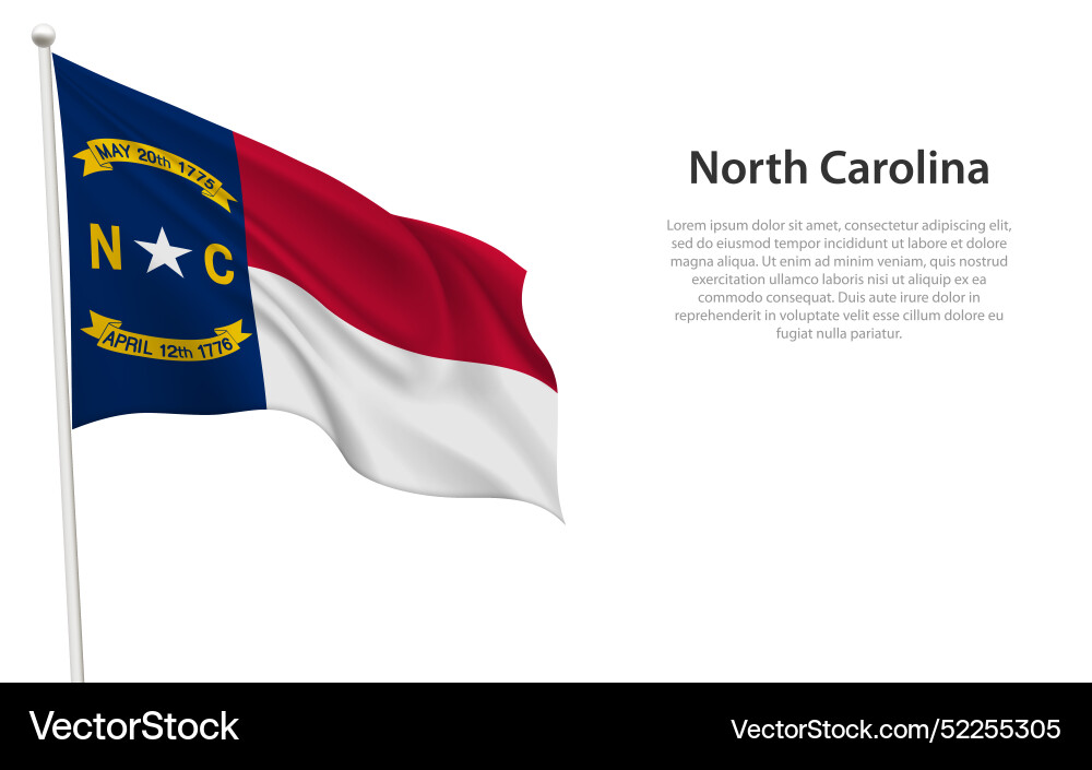 Waving North Carolina Flag vector image