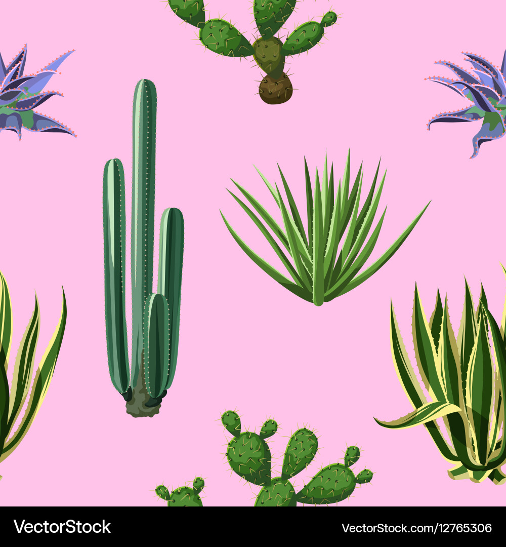 Seamless pattern with cactuses and succulents set Vector Image