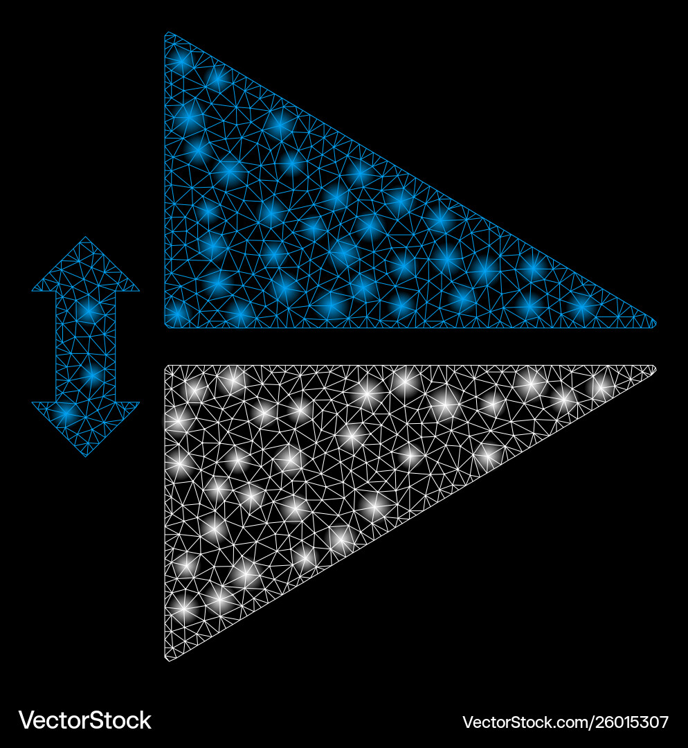 Flare mesh wire frame flip vertically with Flare mesh wire frame flip vertically with vector image