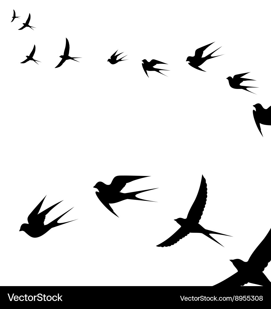 Birds in Flight Vector Image