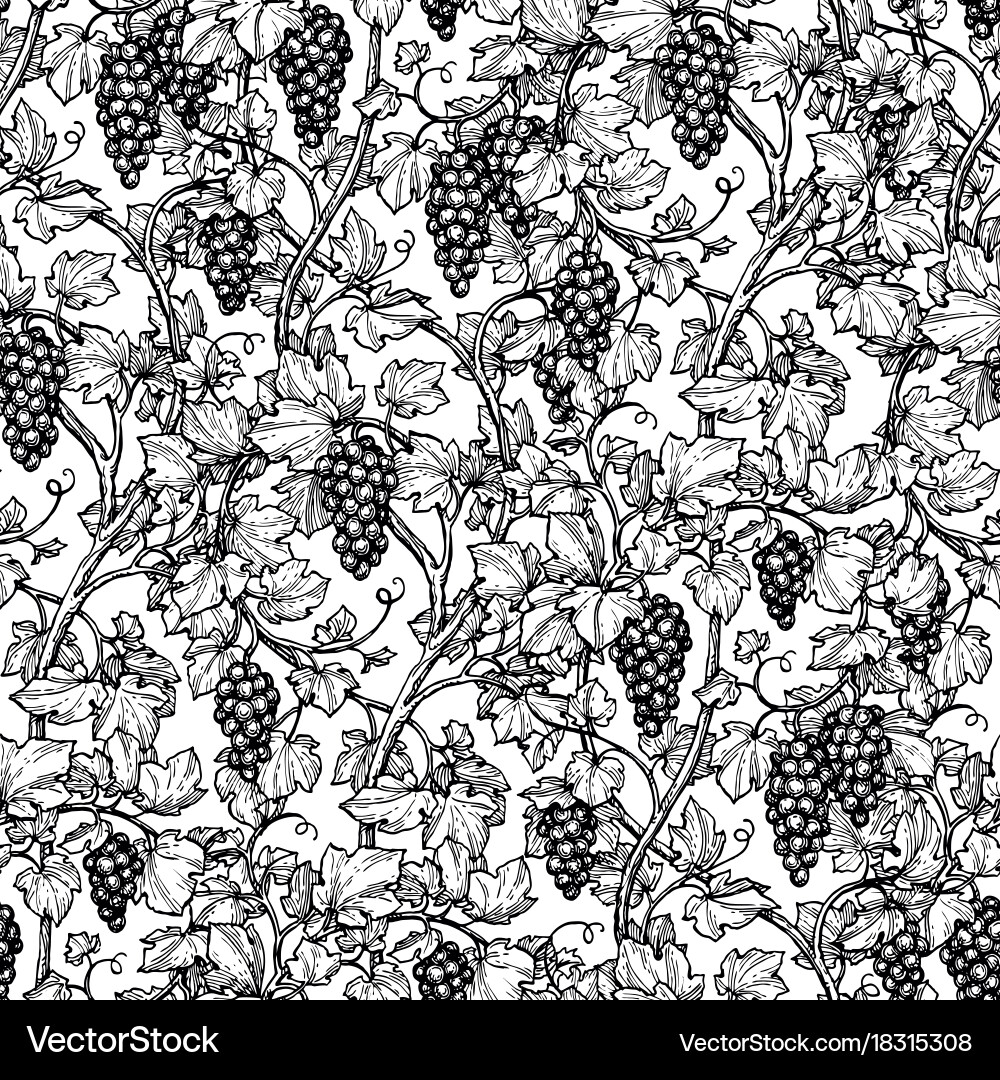 Elegant Grapevine Pattern vector image