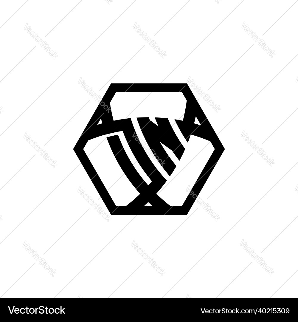 Dn logo monogram triangle shield hexagonal style vector image