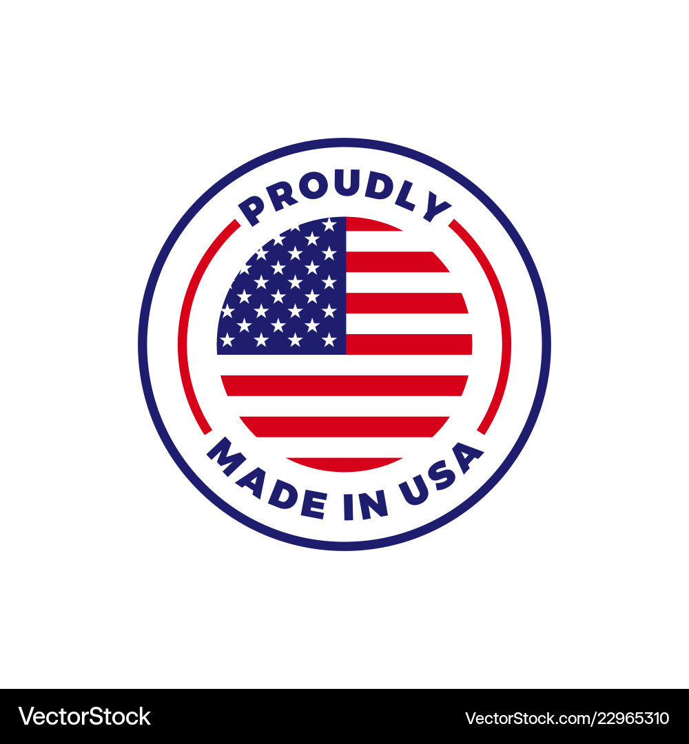 American Flag Round Badge Icon vector image