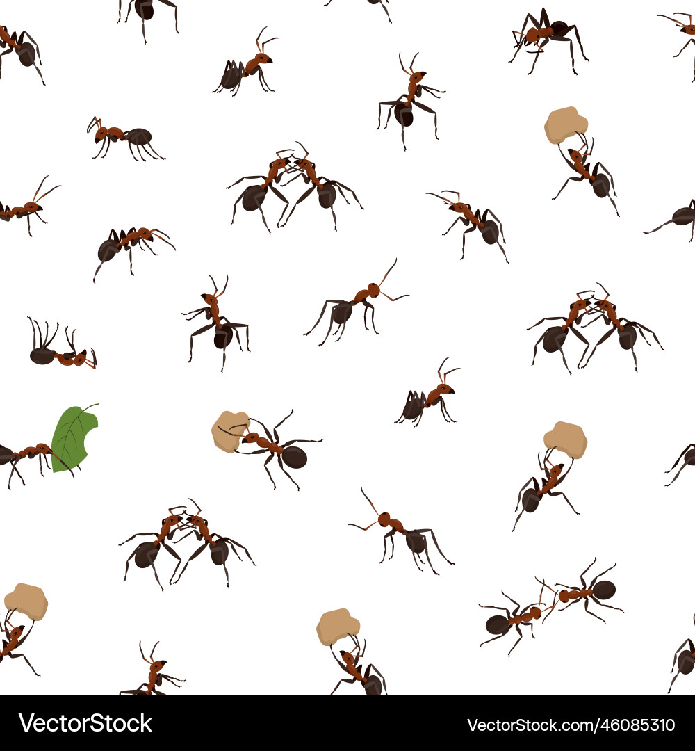 Ant pattern abstract insects realistic isolated Ant pattern abstract insects realistic isolated Vector Image