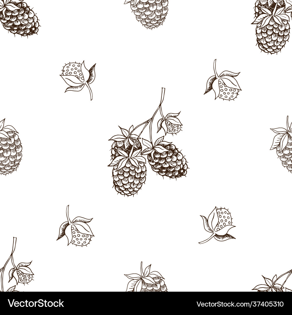 Graphic seamless pattern with raspberry Graphic seamless pattern with raspberry Vector Image