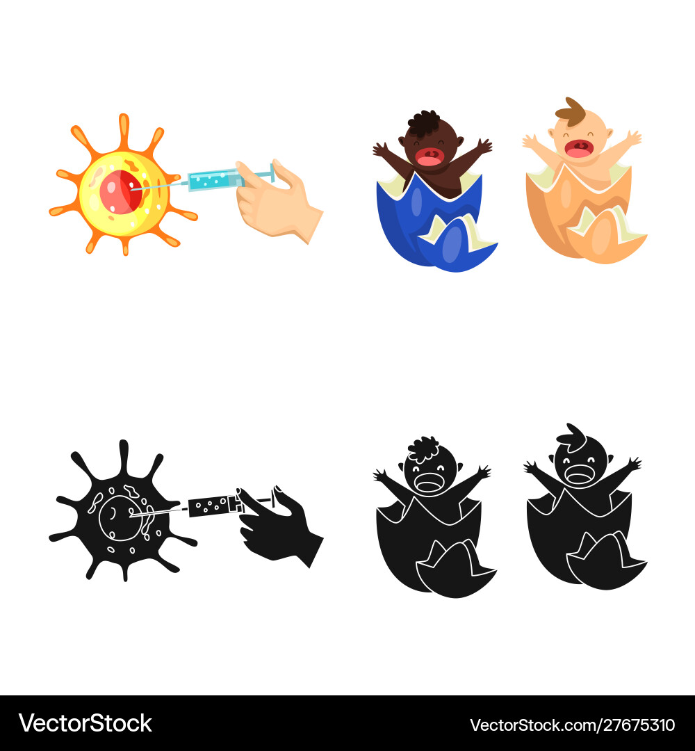 Isolated object test and synthetic logo Vector Image