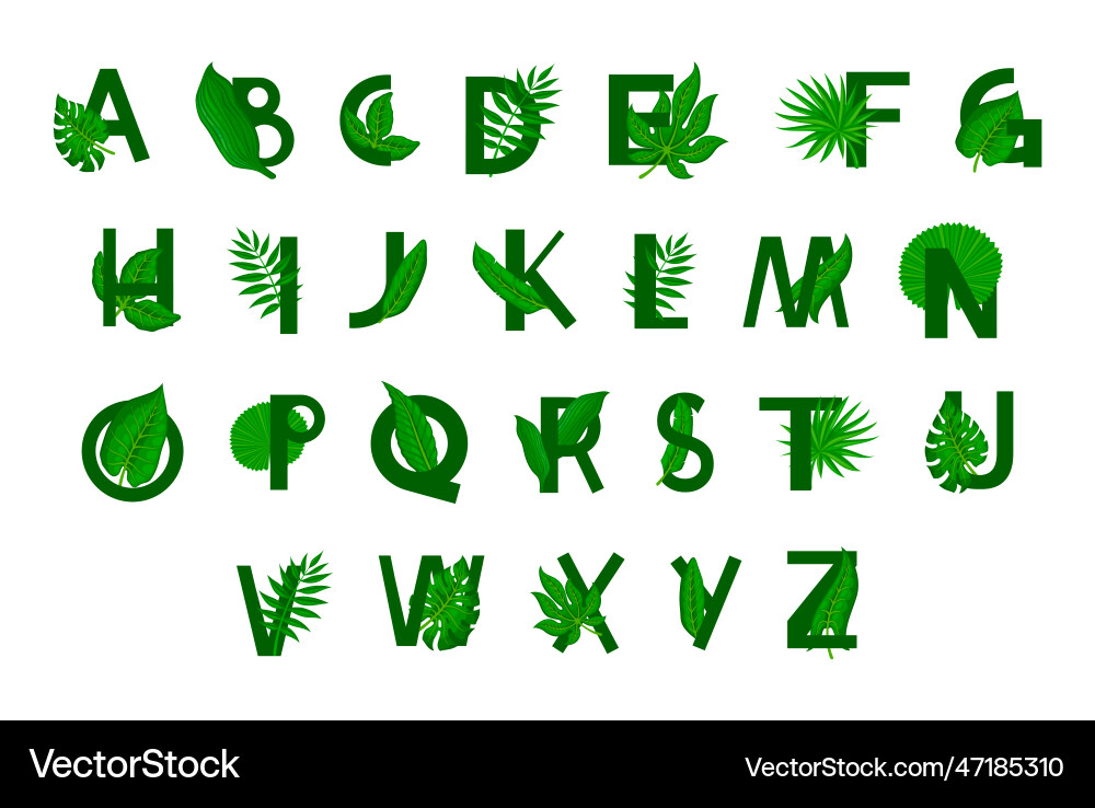 Leaves font english capital letters alphabet Leaves font english capital letters alphabet vector image