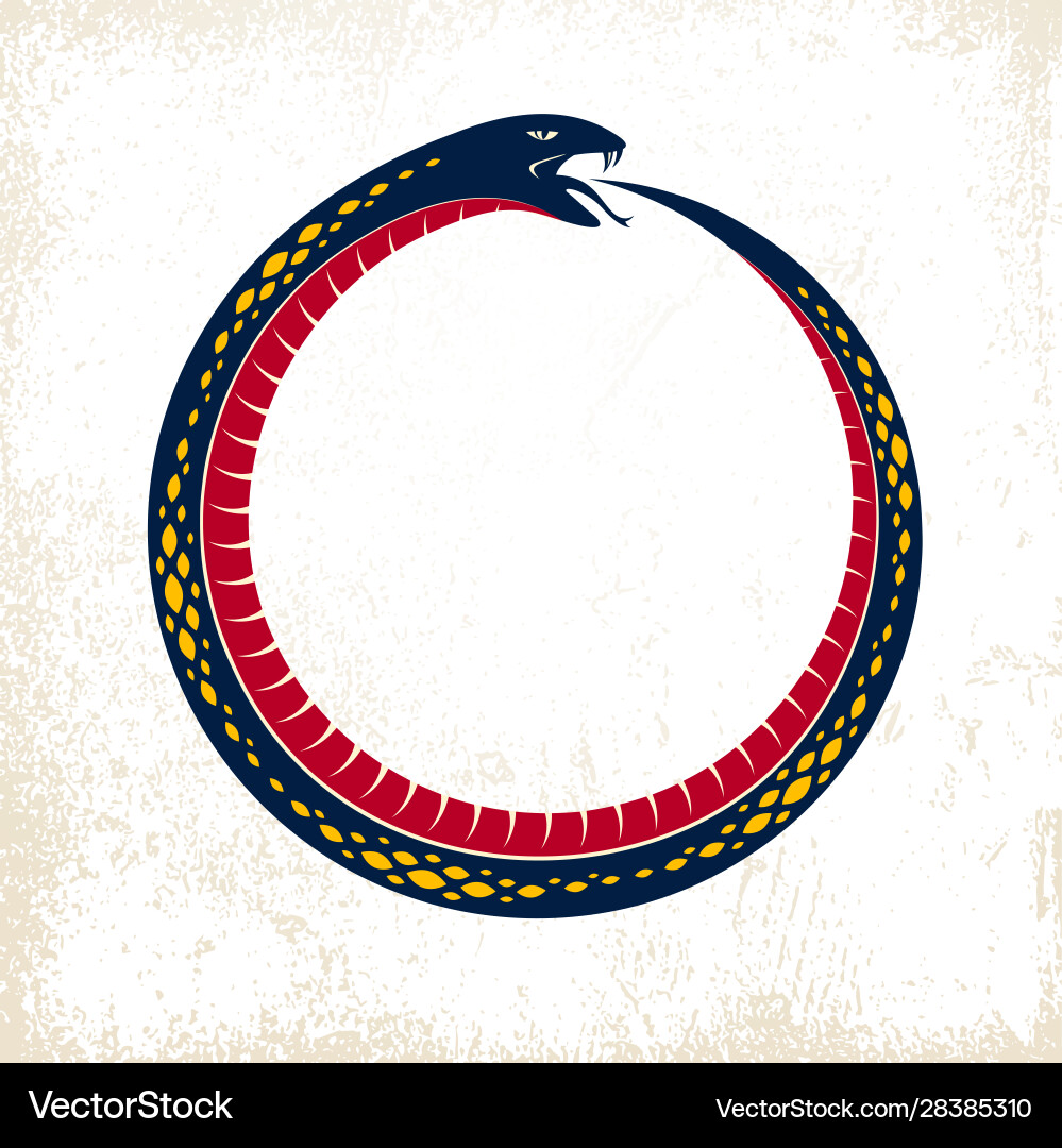 Ouroboros snake in a shape circle endless Ouroboros snake in a shape circle endless vector image