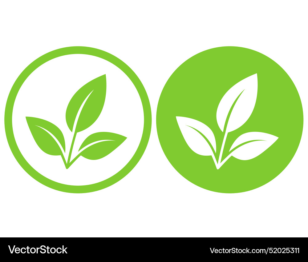 Green brances leaves icons eco natural sign Green brances leaves icons eco natural sign vector image