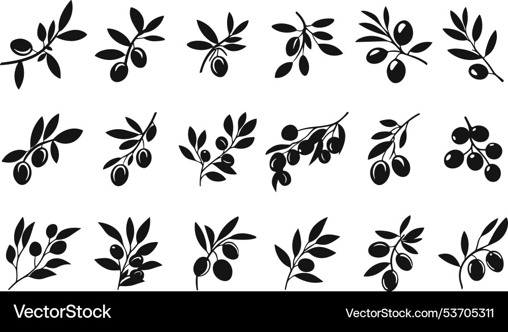 Olive branche silhouette schwarz icons set reif Olive branche silhouette schwarz icons set reif vektorbild