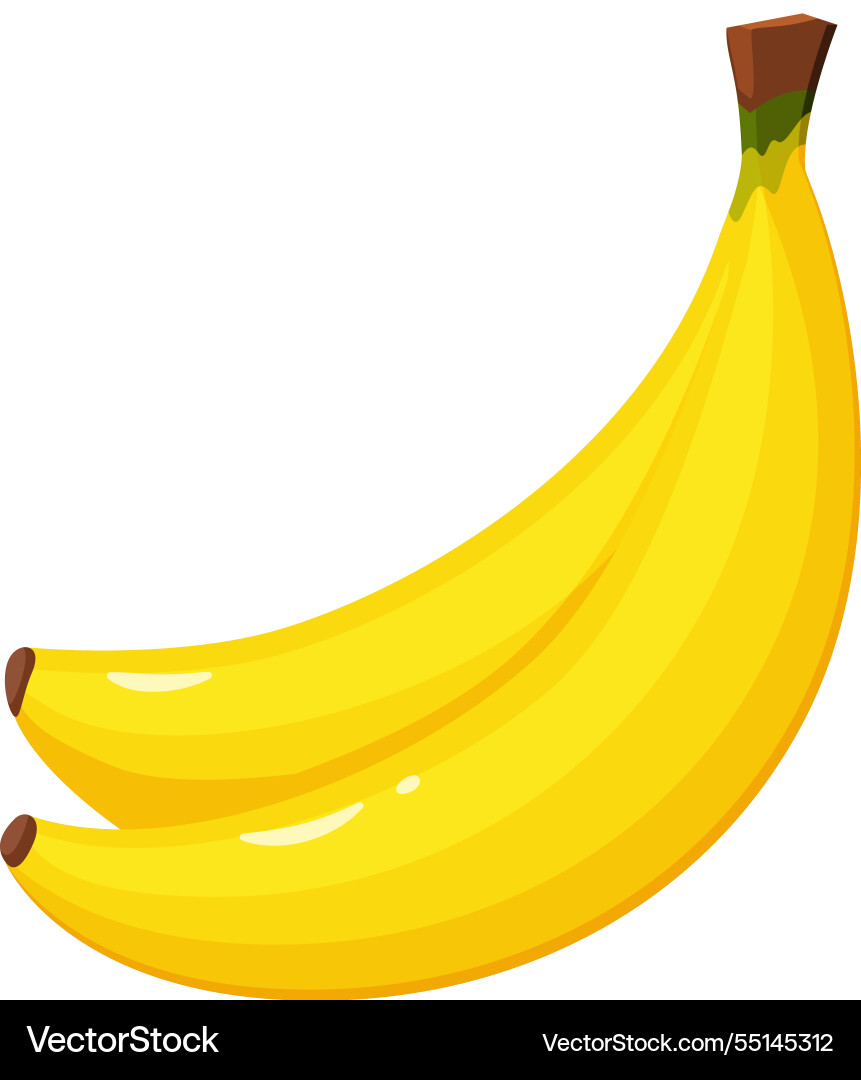 Two ripe yellow bananas creating an appealing Vector Image