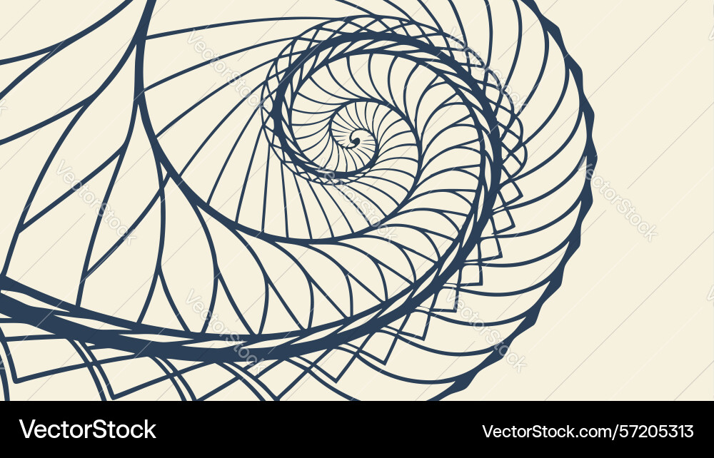 Abstract spiral shell with swirling pattern vector image